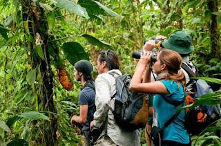 “Día Mundial del Turismo: Una Oportunidad para Impulsar el Espíritu Emprendedor y la Inversión en Turismo Verde