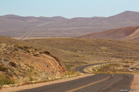 Un aguilucho confiado