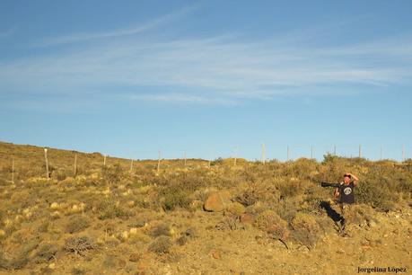 Un aguilucho confiado