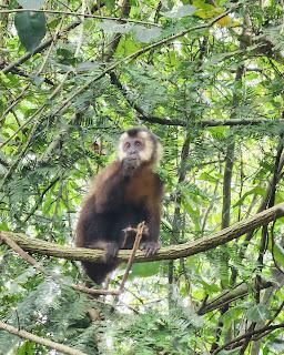 Escapada a las Cataratas del Iguazú