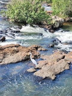 Escapada a las Cataratas del Iguazú