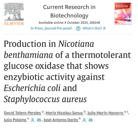 Producción de Glucosa Oxidasa (GOX) en Plantas: Una Alternativa sostenible y versátil