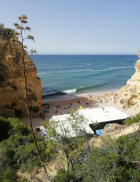 PAISAJES DE FOTO: PRAIA DA MARINHA