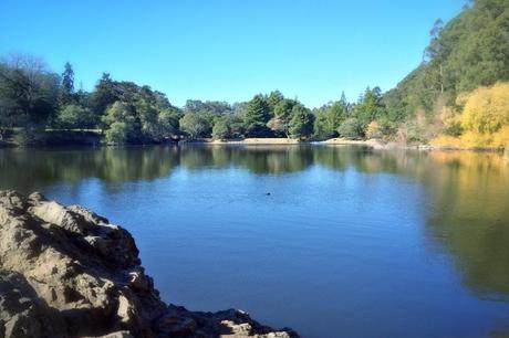 Los 7 mejores hoyos para nadar en California