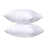 yibo 2 Unidades de Relleno de Cojín 60 x 60 cm, Relleno de Cojín para Sofá o Cama, con Relleno Fibra Hueca, Suave e Indeformable, Hipoalergénicas, Juego de 2/4/6 Unidade