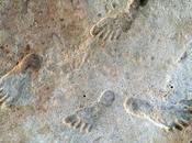 enigma presencia humana Norteamérica