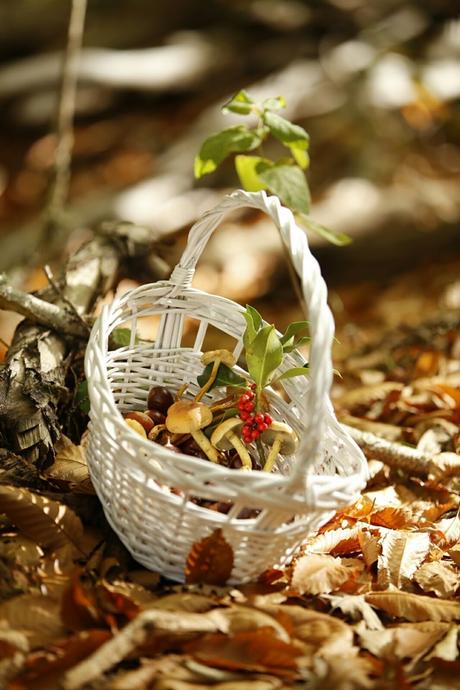 5 planes de otoño para hacer en España 5 planes de otoño para hacer en España