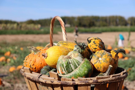5 planes de otoño para hacer en España 5 planes de otoño para hacer en España