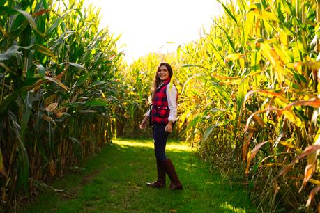 5 planes de otoño para hacer en España 5 planes de otoño para hacer en España