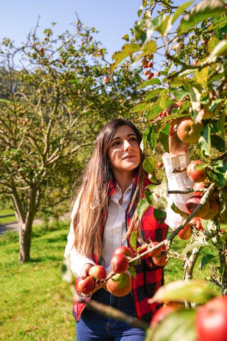 5 planes de otoño para hacer en España 5 planes de otoño para hacer en España