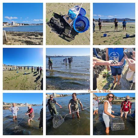 XI Xuntanza de Bloggers Gastronómicos de Galicia