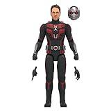 Hasbro Marvel Legends Series - Figura de Ant-Man - Ant-Man & The Wasp: Quantumania - Marvel Legends - A Partir de 4 años - 15 cm
