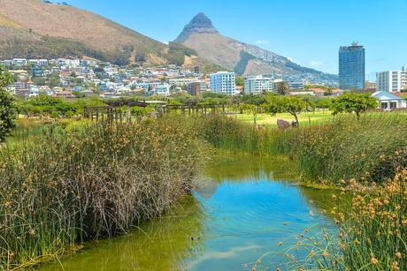 25 mejores cosas para hacer en Ciudad del Cabo