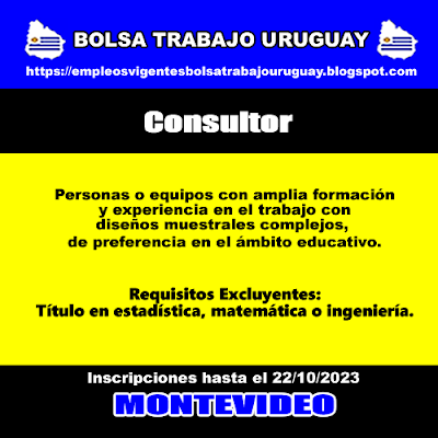 Consultor
