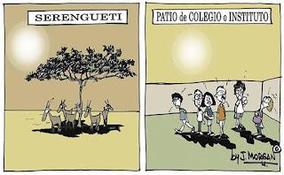 De una idea para mover Europa