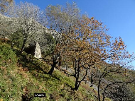 Alevia-La Escalá-Canal de las Vacas-Llonín-Cavandi-La Lizosa