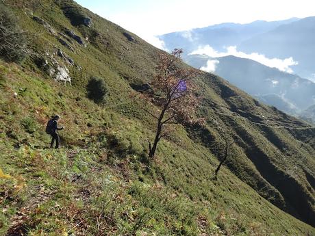 Alevia-La Escalá-Canal de las Vacas-Llonín-Cavandi-La Lizosa