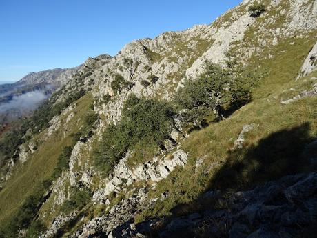 Alevia-La Escalá-Canal de las Vacas-Llonín-Cavandi-La Lizosa