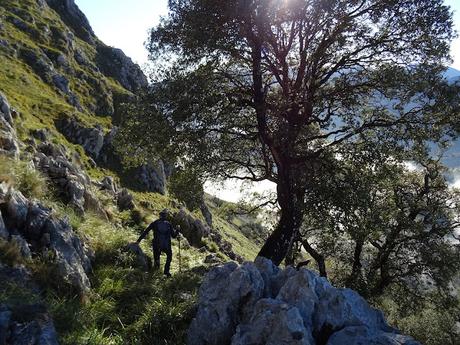 Alevia-La Escalá-Canal de las Vacas-Llonín-Cavandi-La Lizosa