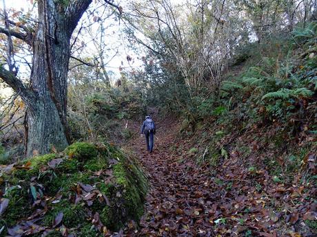 Alevia-La Escalá-Canal de las Vacas-Llonín-Cavandi-La Lizosa