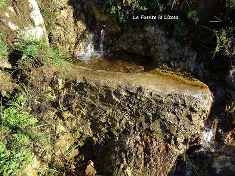 Alevia-La Escalá-Canal de las Vacas-Llonín-Cavandi-La Lizosa