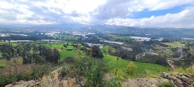 Los herbicidas comunes afectan la función cerebral Los herbicidas comunes afectan la función cerebral