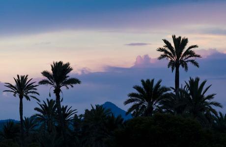 Elche-Ciudad-de-Diversion-y-Cultura Blog Elche Se Mueve