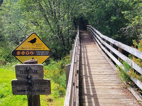 6 caminatas favoritas en el área recreativa nacional de las dunas de Oregon