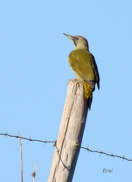 COMIENZO OCTUBRE CAMPEANDO POR CANTABRIA
