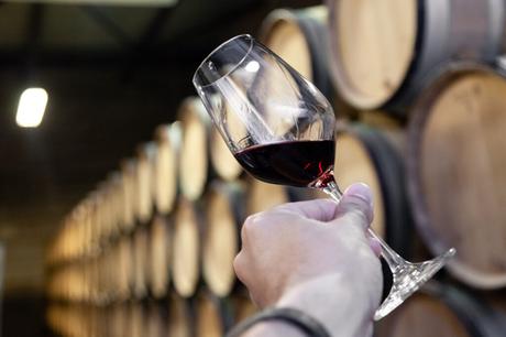 ¿Cómo organizar una cata de vinos en casa?