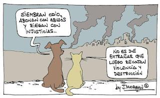 De la piedra de la locura