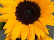 Casi “Hola, Otoño”.