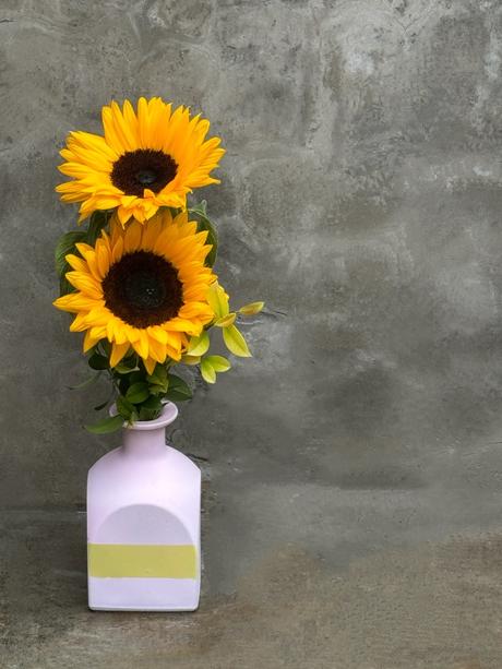 Casi “Hola, Otoño”. Casi “Hola, Otoño”.