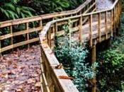 Rutas senderismo Galicia