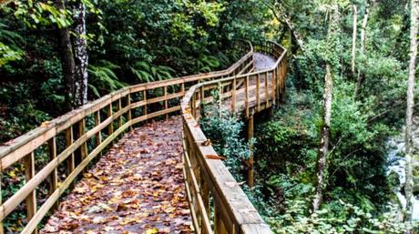 Rutas de senderismo en Galicia Rutas de senderismo en Galicia