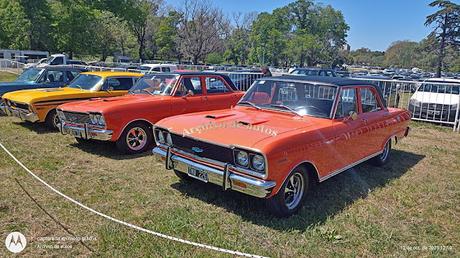 Sol, autos clásicos y público en AutoClásica 2023 Sol, autos clásicos y público en AutoClásica 2023