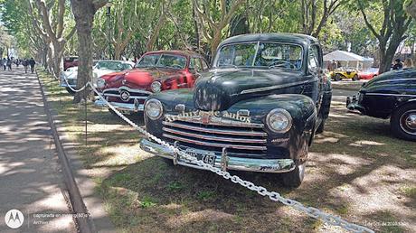 Sol, autos clásicos y público en AutoClásica 2023 Sol, autos clásicos y público en AutoClásica 2023