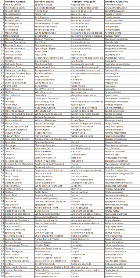 Gran Día Mundial de las Aves (octubre 2023) Gran Día Mundial de las Aves (octubre 2023)