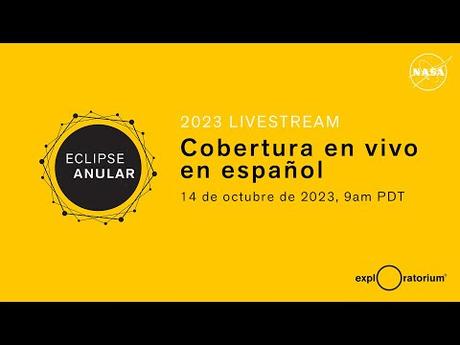 Pierolapithecus catalaunicus: Pau muestra su verdadera cara Pierolapithecus catalaunicus: Pau muestra su verdadera cara