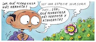 Del caso Carl Schmitt