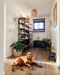 Pasillos y halls: tips para decorar espacios de paso