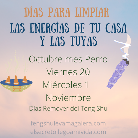 Días ideales para limpiar en Mes Perro 🐕