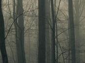 Escritorios semana 2010