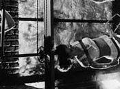 Loquilandia (Helzapoppin)