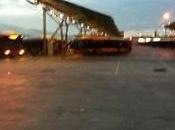 Guillermo Gutiérrez provocador