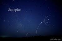 Los escorpiones de Kraepelin