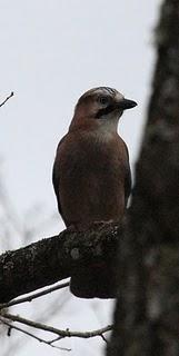 WALKING WITH MY CAMERA-DE PASEO CON MI CAMARA