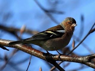 WALKING WITH MY CAMERA-DE PASEO CON MI CAMARA