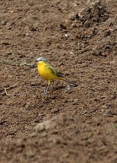 WALKING WITH MY CAMERA-DE PASEO CON MI CAMARA