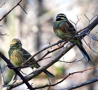 WALKING WITH MY CAMERA-DE PASEO CON MI CAMARA